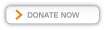 donate now